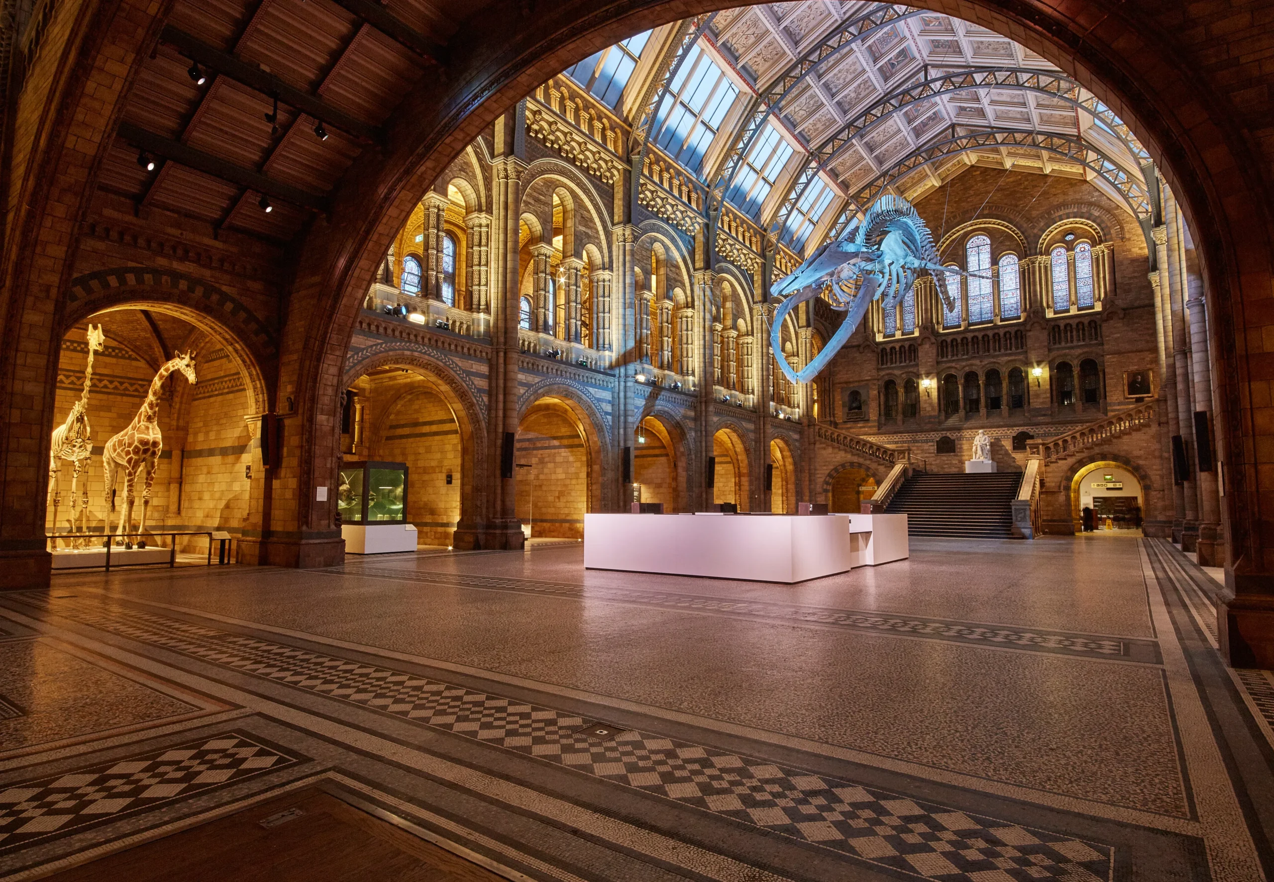 Natural History Museum: Surga Ilmu Pengetahuan Alam di Tengah Kota London