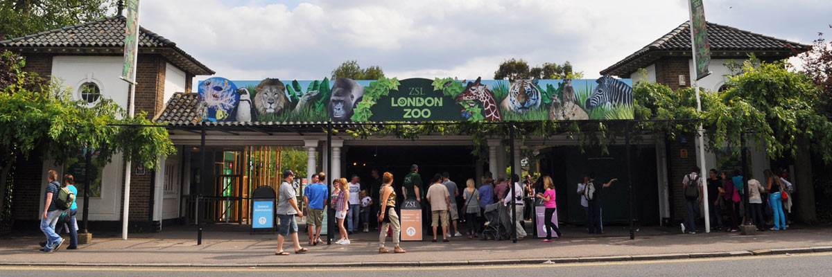 ZSL London: Menyambut Pengalaman Baru di Dunia Satwa